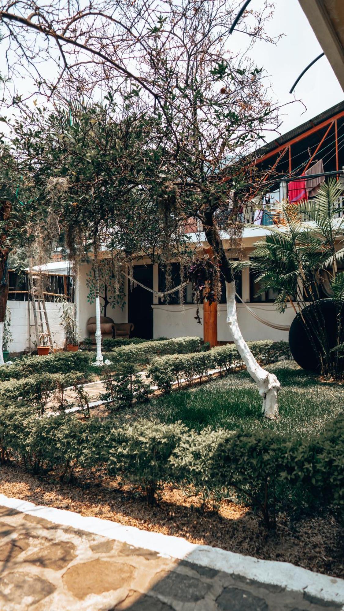 Complejo Don Pascual Hotel ซานเปโดร ลาลากูนา ภายนอก รูปภาพ