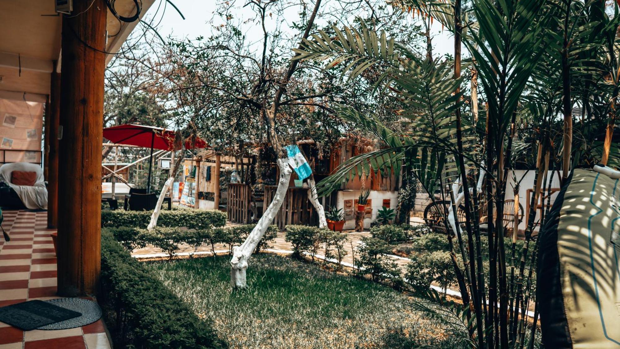 Complejo Don Pascual Hotel ซานเปโดร ลาลากูนา ภายนอก รูปภาพ